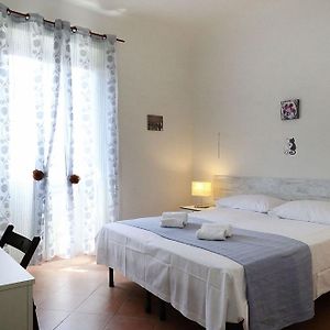 Mia Palace